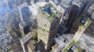 Are Wooden High-Rises the Real Deal?